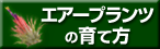 GA[vc̈ĕ